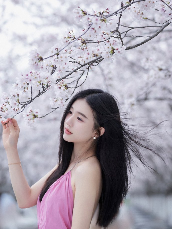 亮剑 封面
